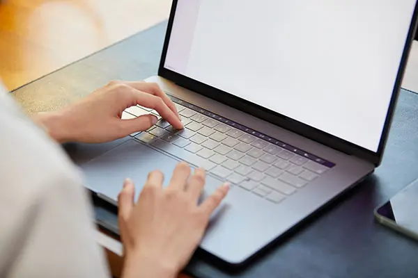 蒙自素食美食餐厅在哪里